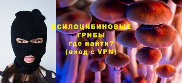 крисы Алексин