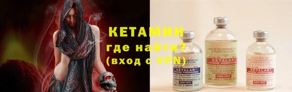 крисы Алексин