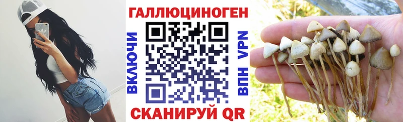 Галлюциногенные грибы прущие грибы  даркнет сайт  Нестеров 
